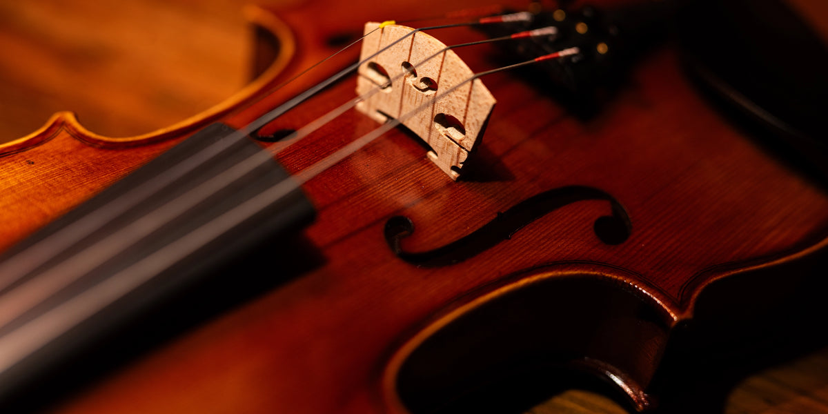 Streichinstrumente mieten bei Soundoo