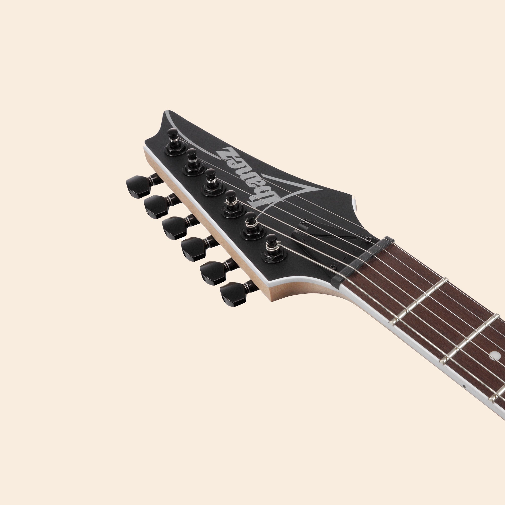 E-Gitarre Ibanez RG421EX-BKF in Schwarz, Live, Studio, Bühne.